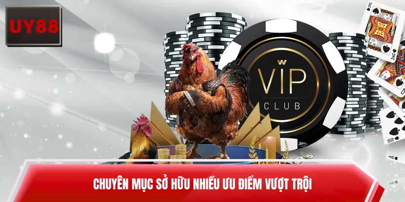 Chuyên mục sở hữu nhiều ưu điểm vượt trội