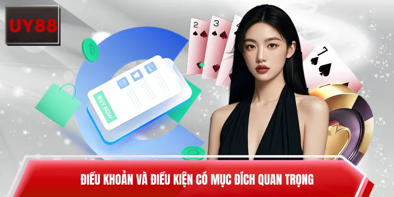 Điều khoản và điều kiện có mục đích quan trọng
