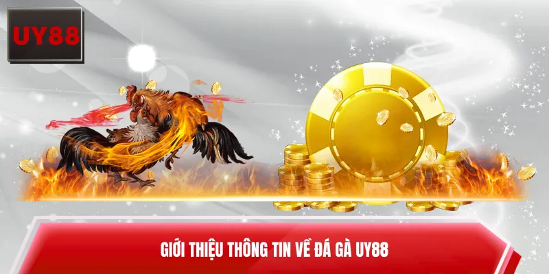 Giới thiệu thông tin về đá gà UY88