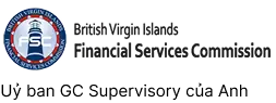 uỷ ban gs supervisory của anh